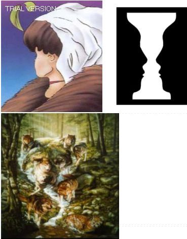 Algunas im&aacute;genes ambiguas